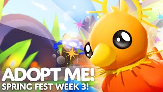 🐣 SPRING FEST WEEK 3! 🌱 3 Adorable Ducklings! 🌅 Adopt Me! on Roblox