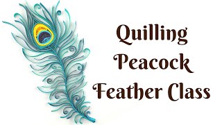 Quilling Peacock Feather DIY kit with step-by-step tutorial by Her Pap