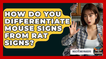How Do You Differentiate Mouse Signs From Rat Signs? - Insects and Invaders