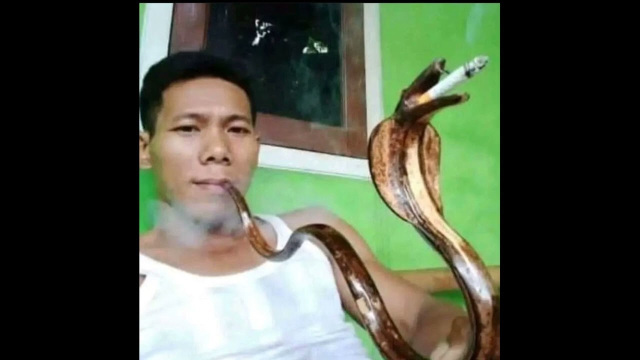 *free for profit* jugg + ocelot + jerk + babyteen type beat