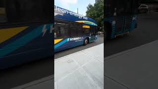 Bronx, New York - BX34 Bus Route - Norwood to Bedford Park