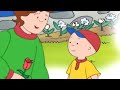 Caillou and the Red Roses | Caillou Cartoon