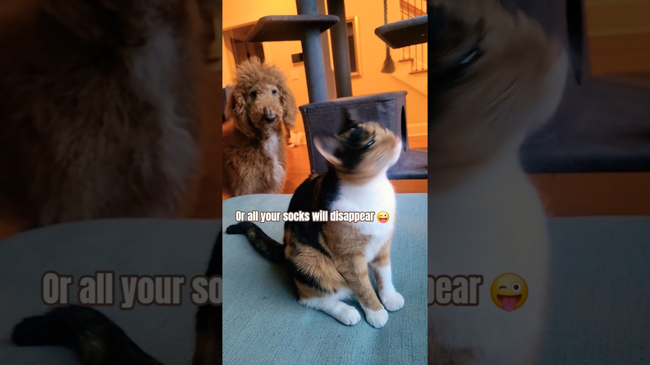 Любимый цвет 💟 