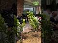 tomorrow.Faculty members of JeevanRekha Group of Institutions planted trees on campus.