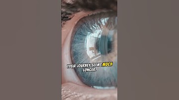 concept of time dilation