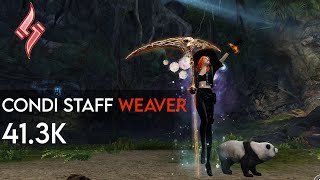 Gw2 Condi Staff Weaver Benchmark 41.3K