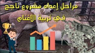 مشروع ناجح في تربية الأغنام (الحلقة رقم 1)