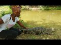 The hidden crocodiles habitat in ghana 