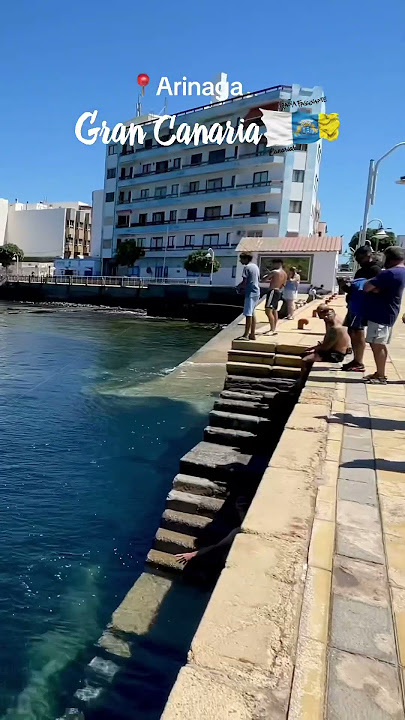 🏝️ Arinaga in Gran Canaria, Canary Islands 🇮🇨 ❤️ #GranCanaria #Canaryislands #CanaryIsland #sun