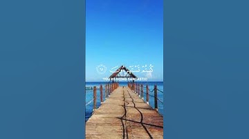 لَئِن سَأَلْتَهُم لَيَقُولُنَّ – تلاوة خاشعة مؤثرة | ماهر المعيقلي Surat Al-Ankabut #القرآن_الكريم