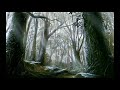 Relaxing Mushishi Soundtracks/Endings - 蟲師