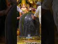 #somnathtemple #shiv #kailashparvat #shivkripa #blessedmonth 🙏🙏✨✨