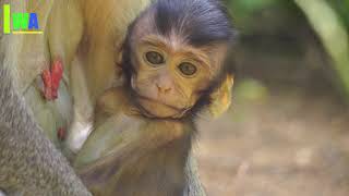 Adorable little baby Mamo She the milk and smiled brightly and slept soundly