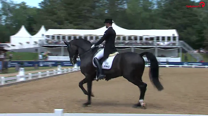 Marcus Hermes' Siegesritt im CDI5* Grand Prix Spec...