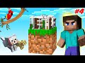 MY NEW PETS AND MODERN HOUSE PLANNING | ONE BLOCK MINECRAFT  | ANDREOBEE