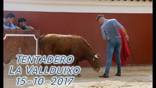 &quot;Menudos toreros&quot; &quot;Tentadero la vallduixo&quot; 15-10-2017. La próxima con &quot;toros&quot;