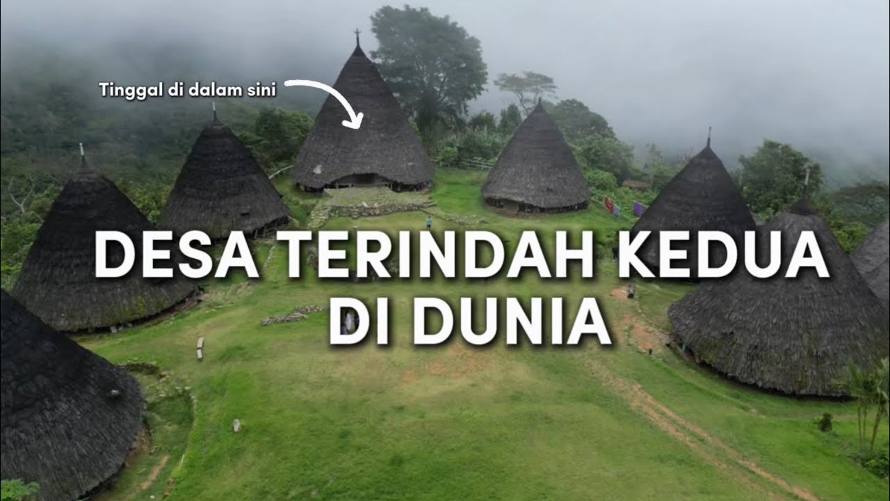 Latest Title & Thumbnail