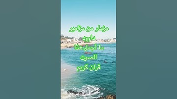 #اكسبلور #قران_كريم #قران #تلاوات #تلاوة_خاشعة #تلاوات #تلاوة_هادئة #لايك #ترند #duet #تيك_توك #مصر