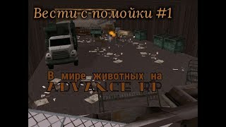 Вести с помойки №1| В мире животных на Адванс РП Вести с помойки №1| В мире животных на Адванс РП