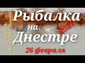 Рыбалка на Днестре 2021 / 26 февраля