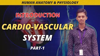 Introduction to Cardiovascular System | Heart & Blood Vessels