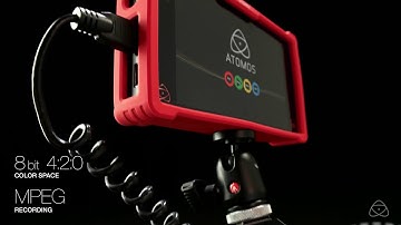 Atomos Ninja Assassin