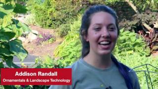 Internships at the Agricultural Institute screenshot 2