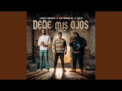 Desde Mis Ojos (Remix)