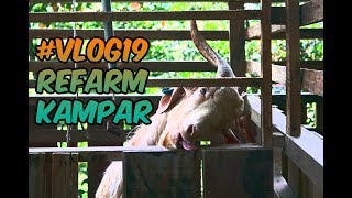 Download #gjetvlog19 Visiting Refarm! Video MP3 #gjetvlog19 Visiting Refarm!
