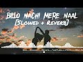 Billo Nachi Mere Naal dj remix (Slowed + Reverb) TextAudio LYRICS | Billo Nachi Mere Naal Lofi