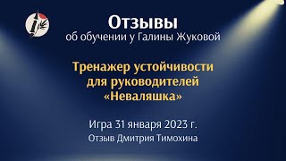 Отзыв Дмитрия Т. об игре 31.01.23 (тренажер устойчивости для руководителей «Неваляшка»)