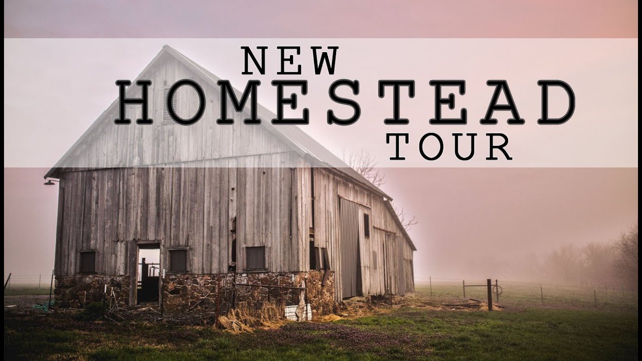 Our New Homestead Tour YouTube