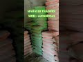 mahavir traders cement new stock #viral #shortsfeed #viralshort #trendingshorts #trending