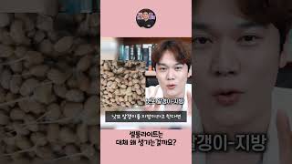 내 허벅지 셀룰라이트 생기는건 대체 왜 때문??