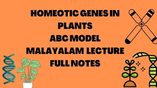 Homeotic Genes in Plants || ABC MODEL || MSc Botany Topic || Malayalam Lecture || Full Notes