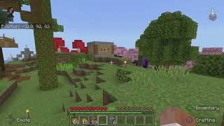 Minecraft Bedrock Footage 19