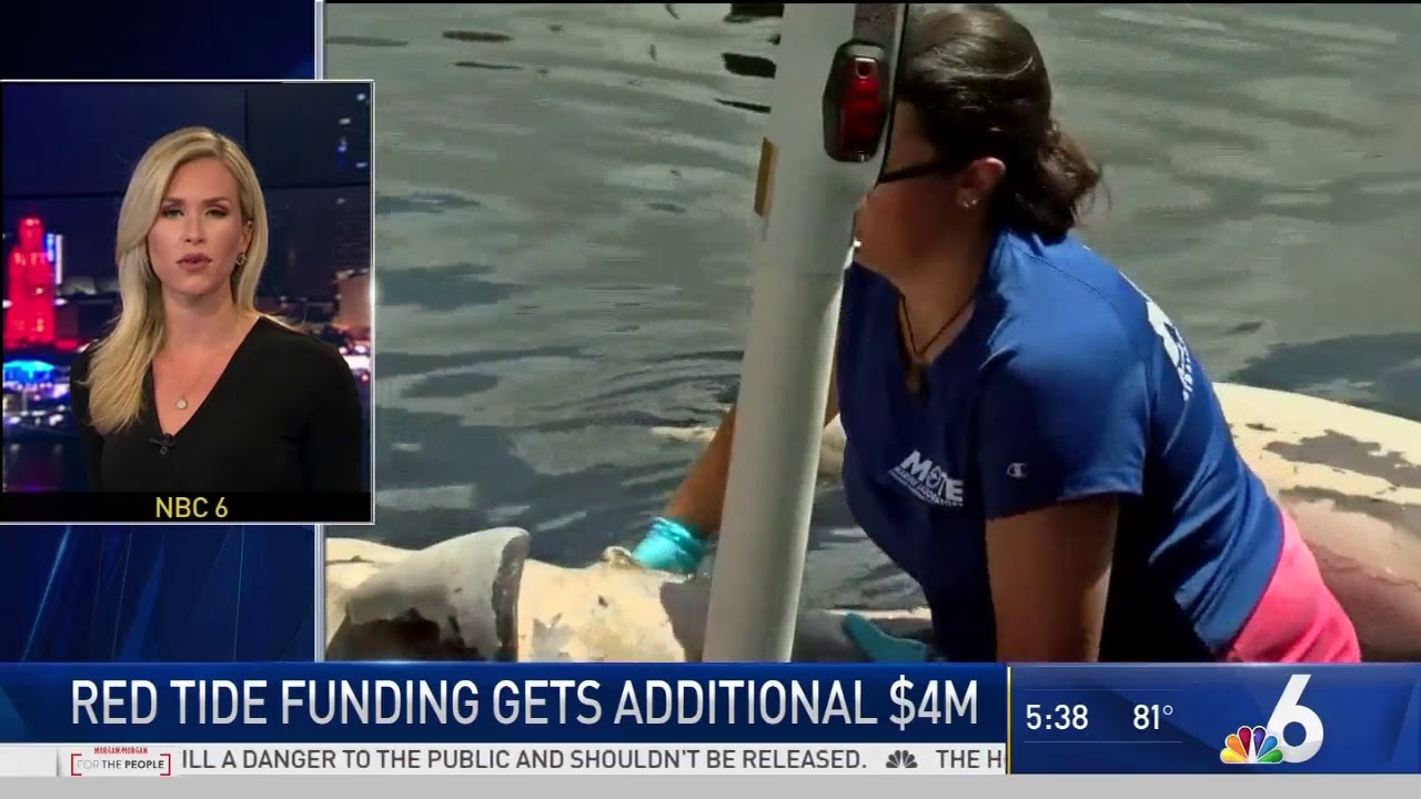 camera iphone 8 plus apk Red Tide Funding Gets Additional $4 Million