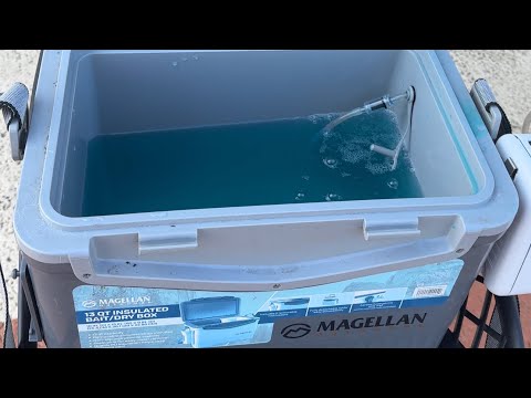 Keeping Shrimp Alive