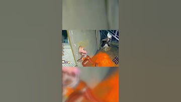 This Oni is crying! #dbd #dbdshorts #gaming #dbdtoxic #trolling #mindgames #dbdsurvivor #dbdmemes