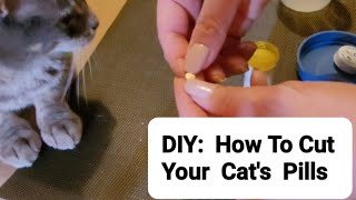 DIY: How To Cut Your Cat's Pills in Half by Frolicking Felines 89 views 7 months ago 2 minutes, 11 seconds
