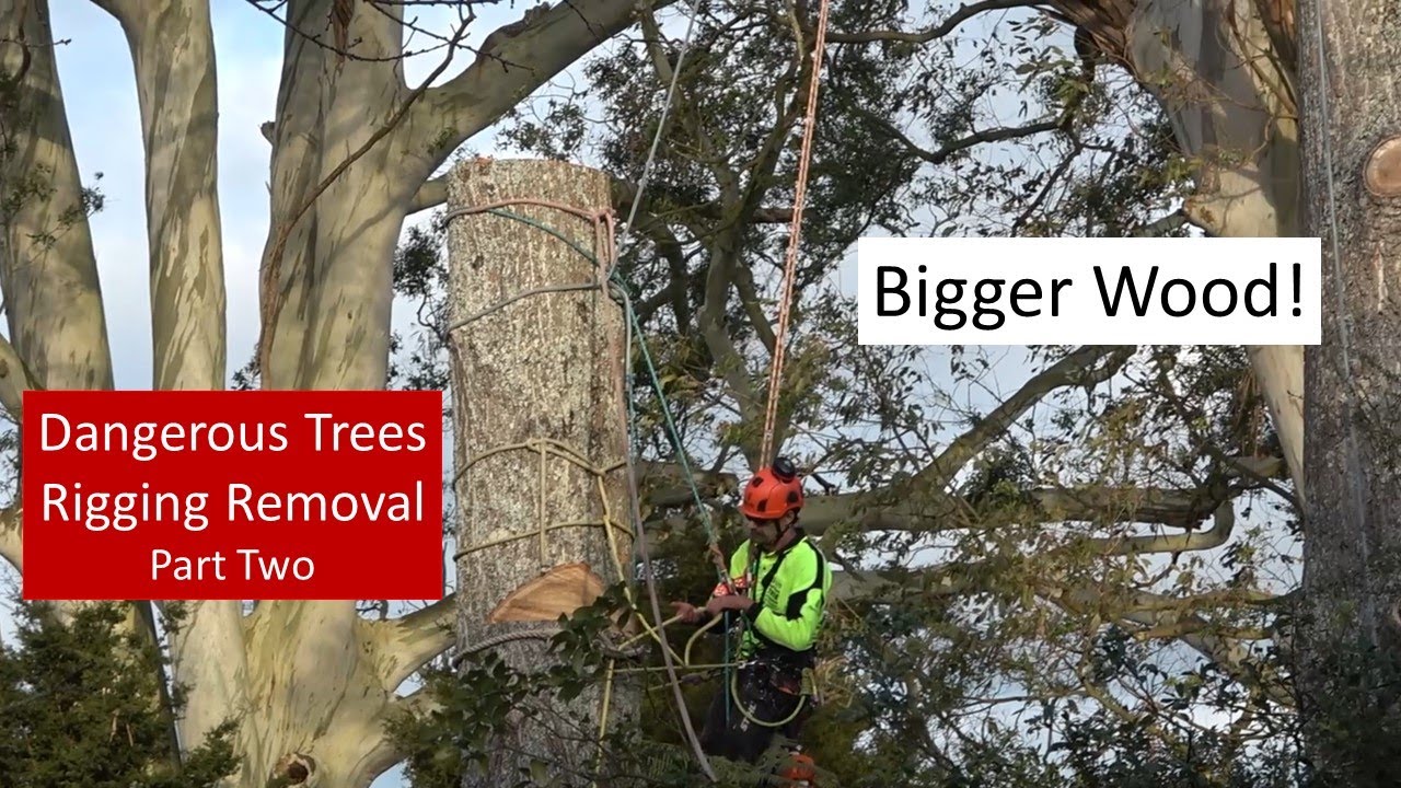 Tree Removal - Big Rigging Job Part Two 