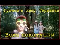 Покатушки в лесу Германии.