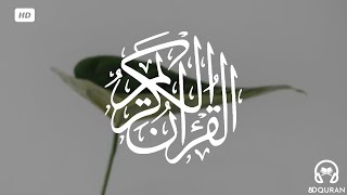 قرآن كريم بصوت مشاري العفاسي | حالات واتس اب دينية - سورة غافر