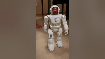 program A bot x dancing