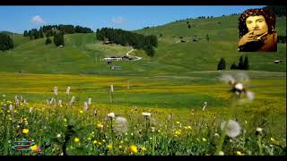 حسن زیرک صبری