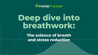 Deep dive into breathwork: The science of breath and stress reduction