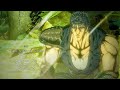 Hokuto no Ken: Fist of the North Star - Opening "Hallelujah" by Alexandros「UHD 60 FPS」