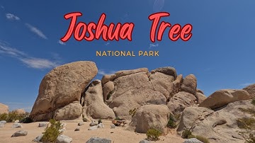 Journey Through Joshua Tree: A Desert Dream