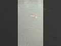 NICE MIRROR IN THE NET
