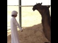 الخوافين خوافين